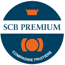 scb